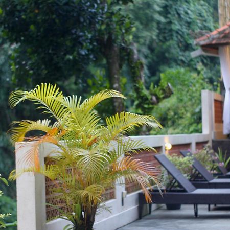 Hanaka Riverside Ubud Bagian luar foto