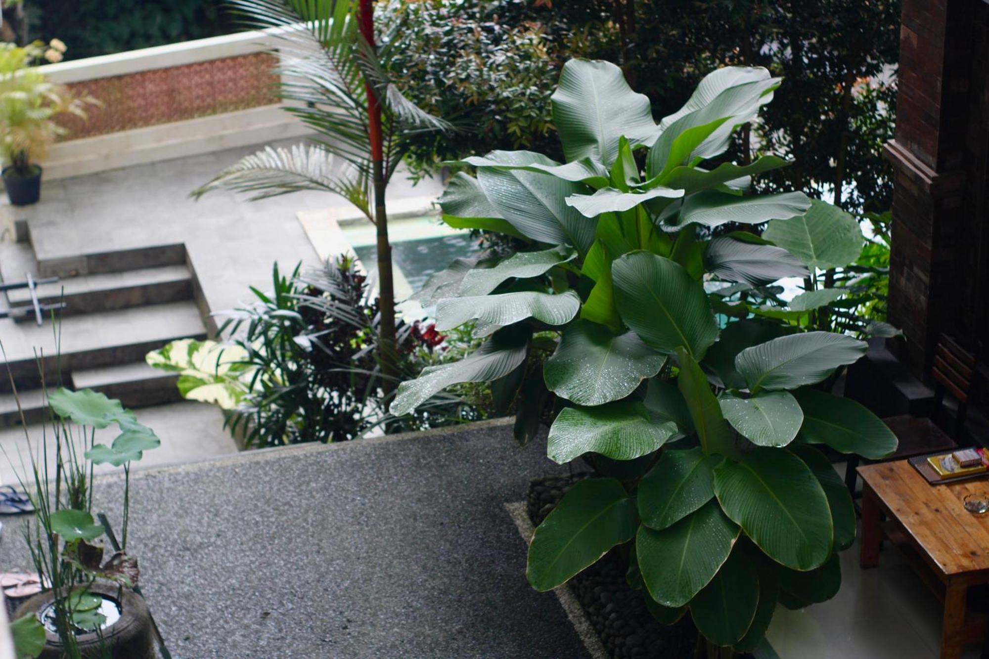 Hanaka Riverside Ubud Bagian luar foto