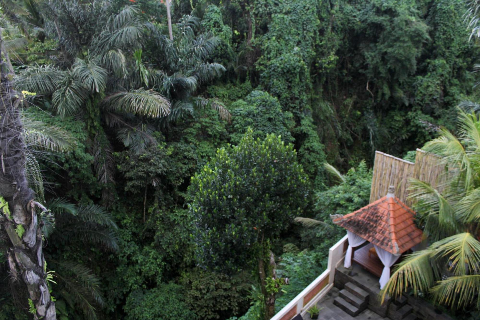 Hanaka Riverside Ubud Bagian luar foto